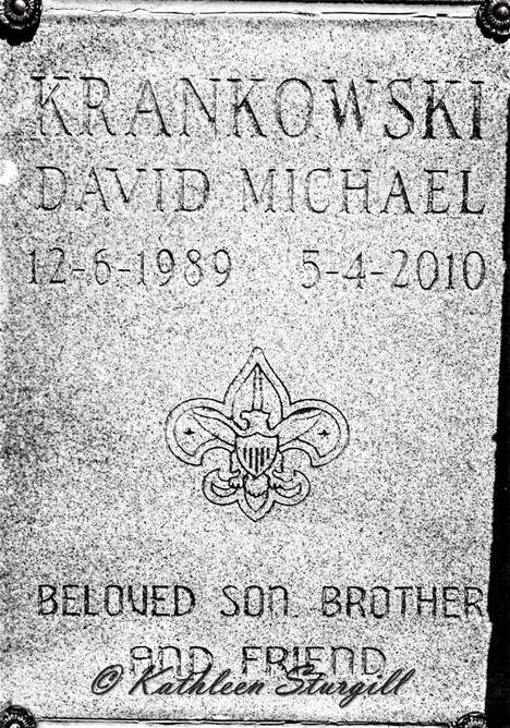 David Michael - Cemetery Days